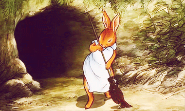 Królik zamiatający koło swojego domu